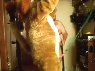 Simba getting dommed by Donahue