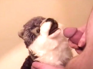 Howling wolf 02 - piss cum